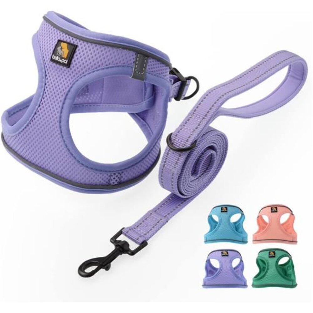 Puppy Harness with Leash Set, Dog Harness for Small Dogs No Pull, Dog Leash